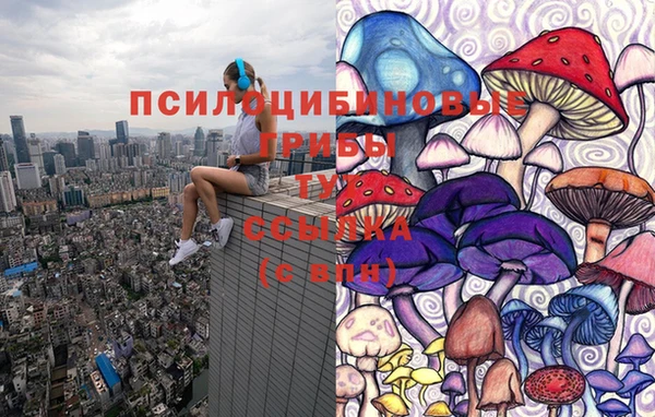 метадон Аркадак