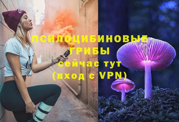 гидропоника Арсеньев