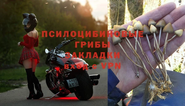 метадон Аркадак