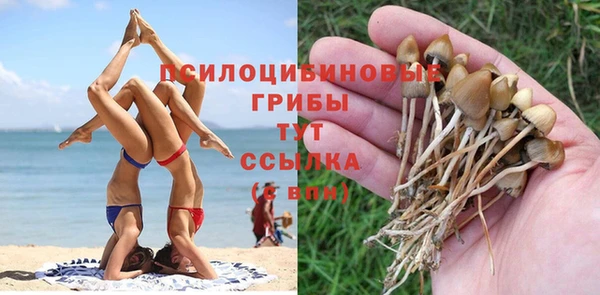 эйфоретик Армянск