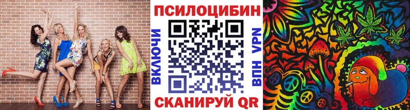 дарк нет телеграм Моздок Галлюциногенные грибы MAGIC MUSHROOMS